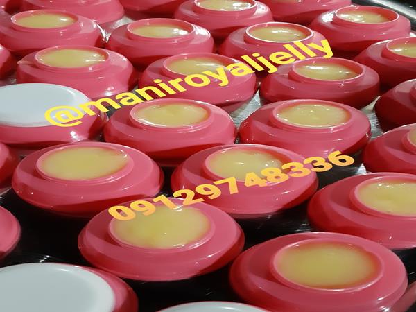 معجزه ژل رویال گرده گل در افزایش باروری