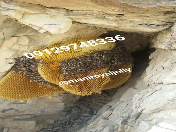 علت تغییر رنگ ژل رویال زنبور عسل خالص