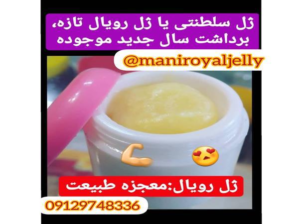 افراد مجاز برای مصرف ژل رویال عسل کوهی