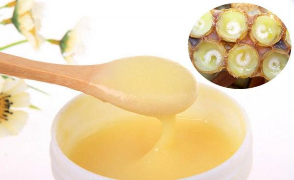 قیمت ژل رویال شهد گلها اصل