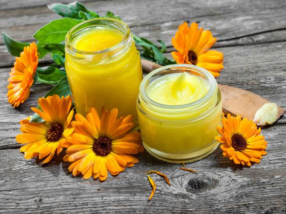 عرضه کننده ژل رویال طلایی