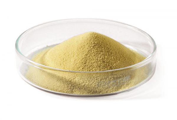 پخش ژل رویال پودری مرغوب