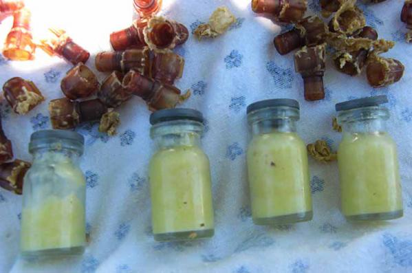 بررسی میزان کاری 50 گرم ژل رویال طلایی