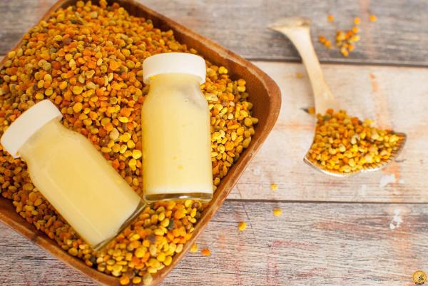 سفارش ژل رویال قم مرغوب