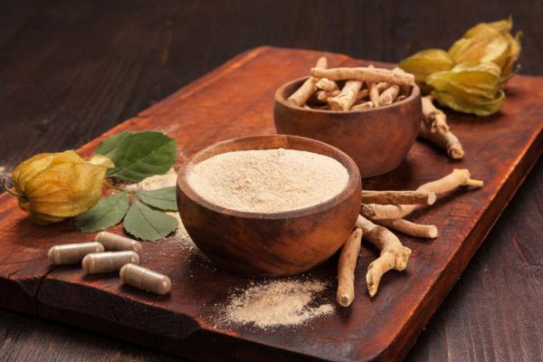 فروش ژل رویال پودری اعلا