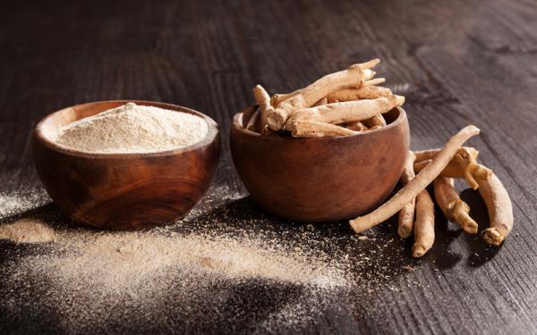 فواید ژل رویال پودری برای سلامتی
