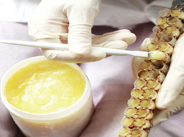 تقویت حافظه با ژل رویال شیراز
