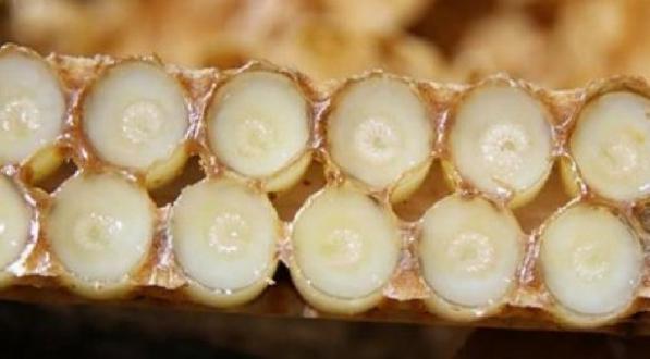 خرید ژل رویال در همدان