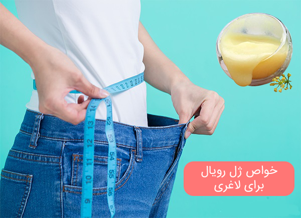 خواص ژل رویال برای لاغری