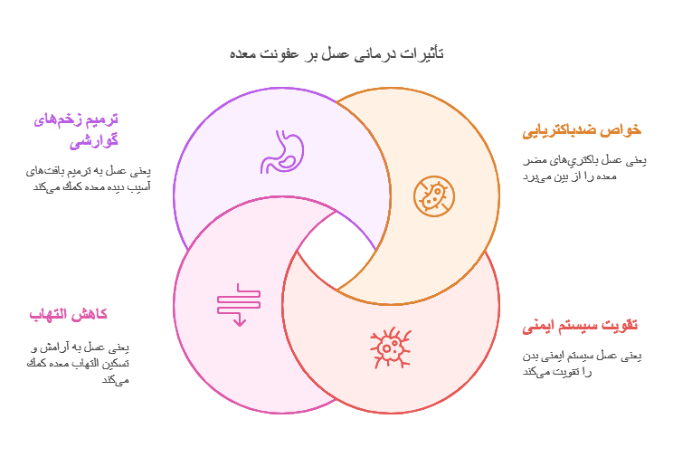 خواص ضدباکتریایی عسل برای درمان عفونت معده