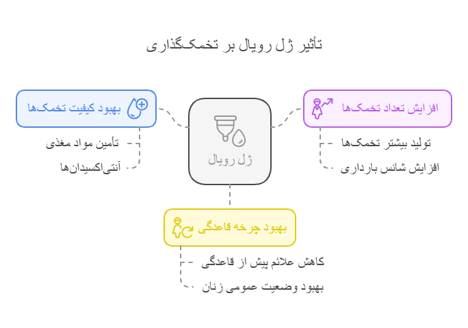 تاثیر ژل رویال برای تقویت تخمک